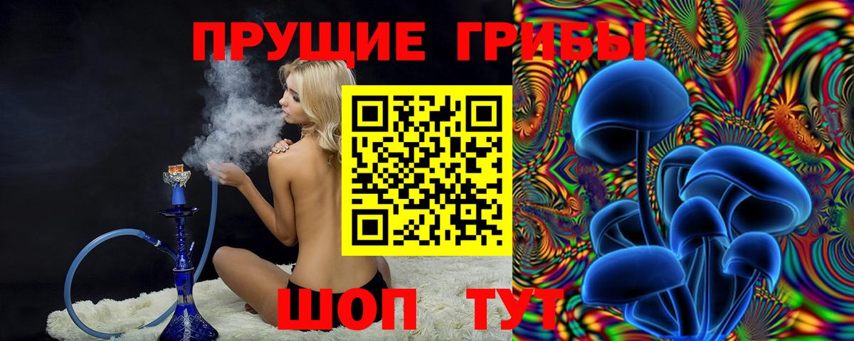 Иркутск  Псилоцибиновые грибы GOLDEN TEACHER  Вход с VPN 